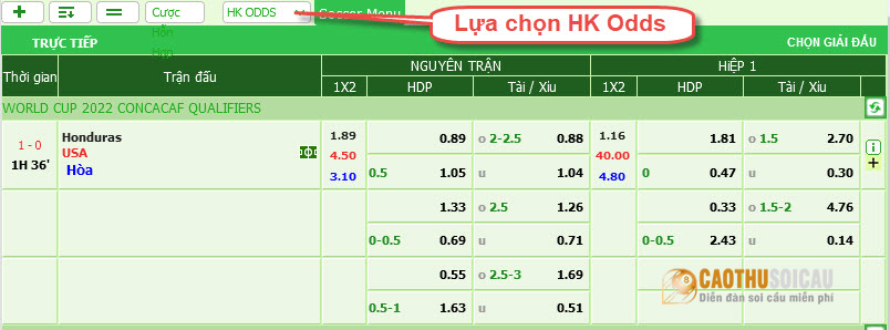 HK Odds: Lựa chọn kèo cược Hồng Kông