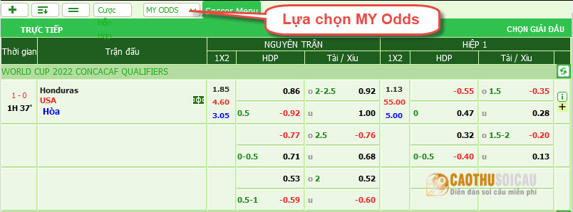 MY Odds: Lựa chọn kèo cược Mã Lai