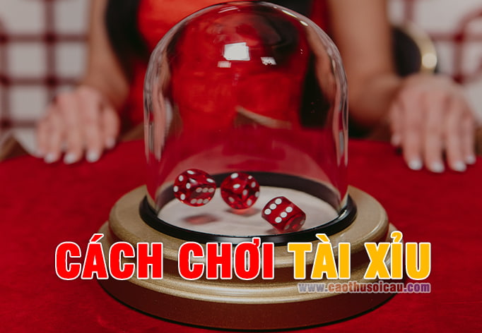 Cách Chơi Tài Xỉu | Chơi Sicbo tại nhà cái uy tín Tobet88