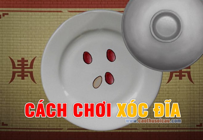 Cách Chơi Xóc Đĩa lợi nhuận cao tại nhà cái Tobet88