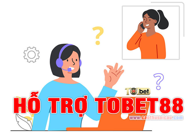 Liên hệ hỗ trợ Tobet88 cách nào nhanh nhất