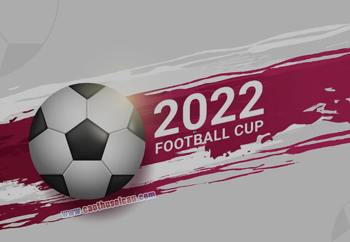 Lịch thi đấu World Cup 2022