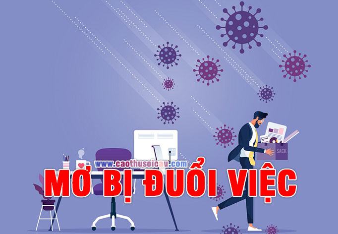 Mơ bị đuổi việc là điềm báo gì ? Bị đuổi việc đánh con gì ?