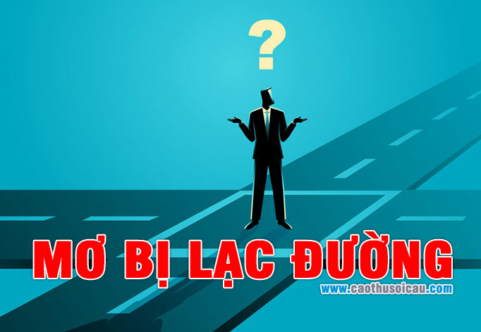 Mơ Bị Lạc Đường đánh con gì khi chơi Lô Đề hôm nay ?