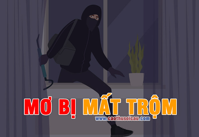 Mơ bị Mất Trộm đánh lô đề số nào chiến thắng hôm nay ?