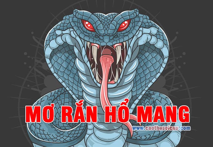 Mơ Rắn Hổ Mang đánh lô đề số nào rực rỡ hôm nay ?