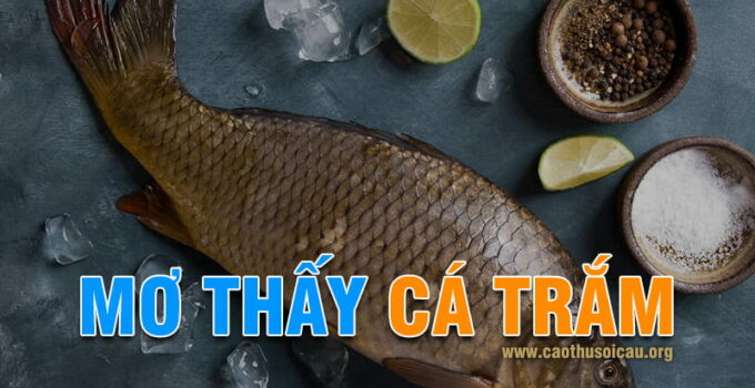 Mơ Thấy Cá Trắm đánh lô đề số nào mang lại may mắn ?