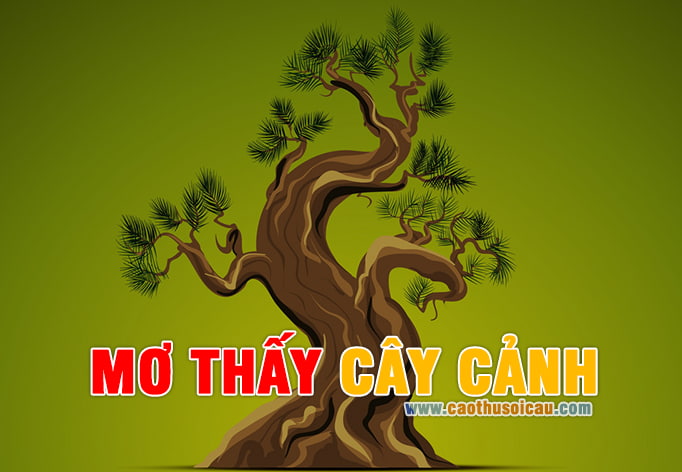 Mơ Thấy Cây Cảnh đánh con gì ? Cây cảnh chơi lô đề số nào ?