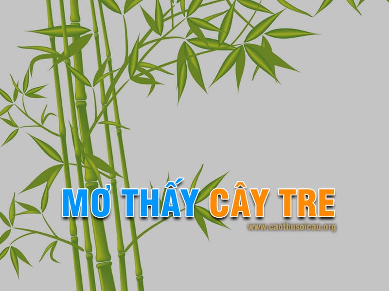 Mơ thấy cây tre non