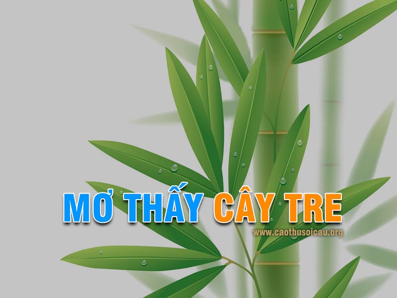 Mơ thấy cây tre đánh con gì chiến thắng ?