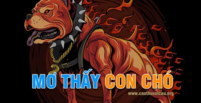 Mơ thấy con chó đánh lô đề số nào mang lại chiến thắng