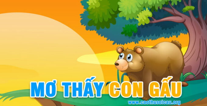 Mơ Thấy Con Gấu đánh lô đề số nào chiến thắng ?