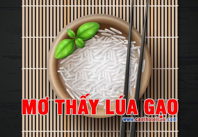 Mơ thấy Gạo đánh con gì, điềm báo giấc mơ về Gạo