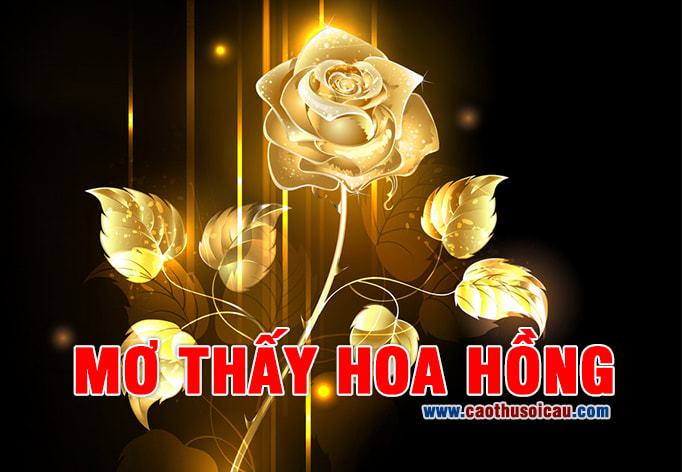 Mơ Thấy Hoa Hồng điềm báo lô đề số nào chiến thắng ?