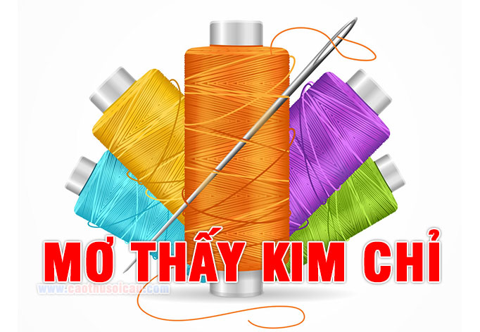 Mơ Thấy Kim Chỉ đánh con gì ? Điềm báo như thế nào ?