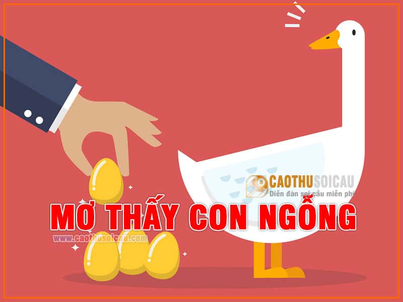 Lưu bản nháp tự động