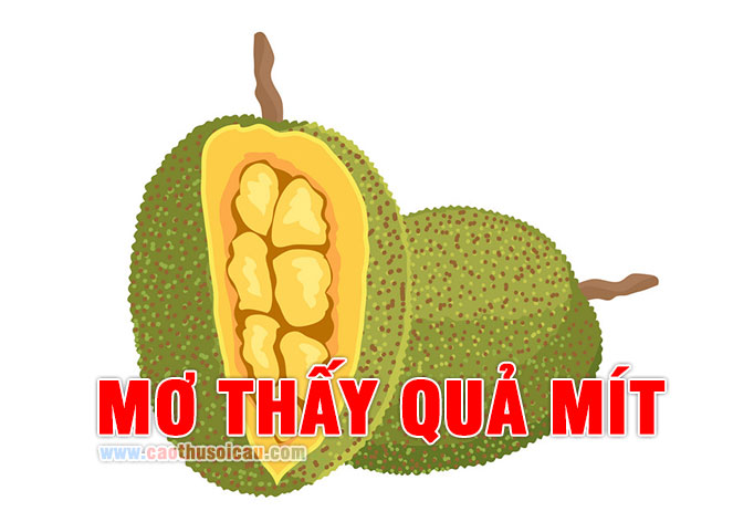 Mơ Thấy Quả Mít là số mấy ? Quả Mít đánh con gì chính xác ?