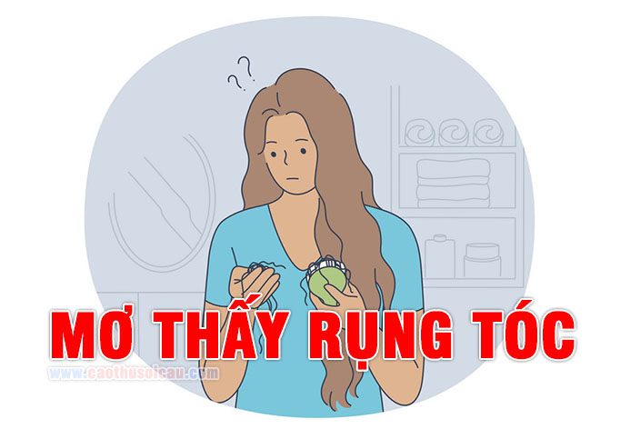 Mơ thấy Rụng Tóc báo hiệu điều gì, Lô Đề số mấy ?