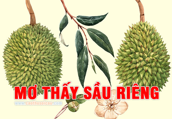 Mơ Thấy Sầu Riêng đánh con gì ? Quả Sầu Riêng là số mấy ?