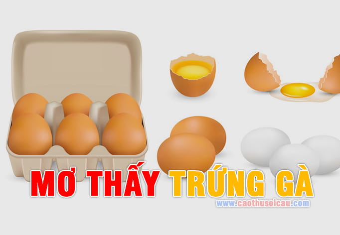 Mơ Thấy Trứng Gà đánh lô đề số nào may mắn chiến thắng ?