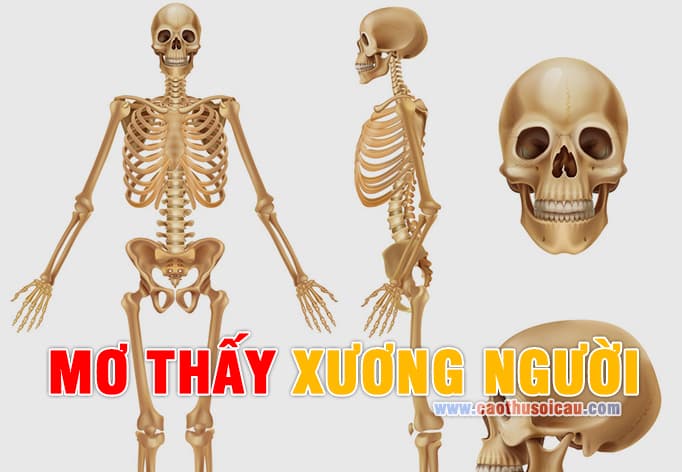 Mơ Thấy Xương Người đánh con gì chuẩn lô đề hôm nay ?