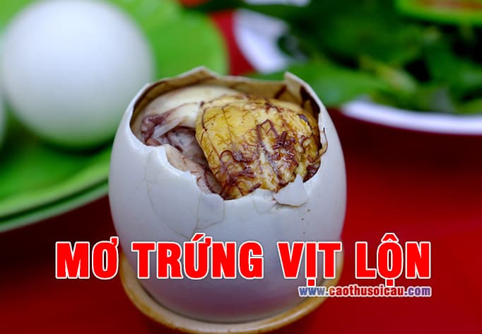 Mơ Trứng Vịt Lộn đánh lô đề số nào rực rỡ may mắn ?