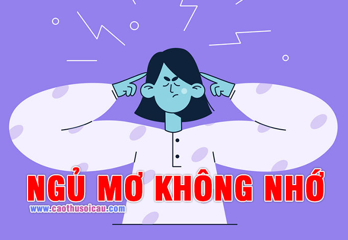 Ngủ Mơ Không Nhớ chi tiết thì đánh con gì chính xác ?